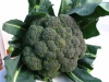 Blumenkohl #Broccolo