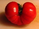 Tomate