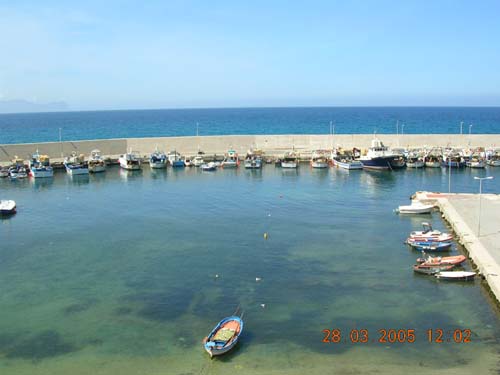 terrasini_im_maerz02