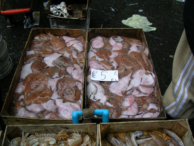 ferienwohnung_in_sizilien_catania_markt_27