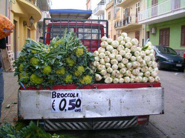 broccolo+fenchel_finocchio